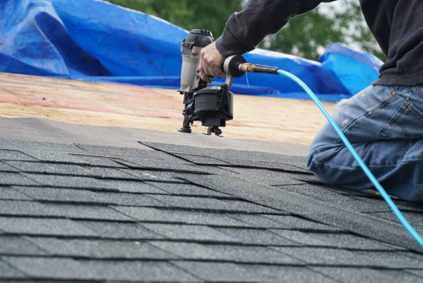 Best Roof Ventilation Installation  in Johnsburg, IL